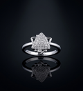 925 Silver Radiant Starburst Ring